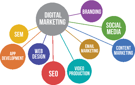 Dynode Software - Leading Digital Marketing Company in Patna, Specializing in SEO, SMO, PPC, and SMM Services