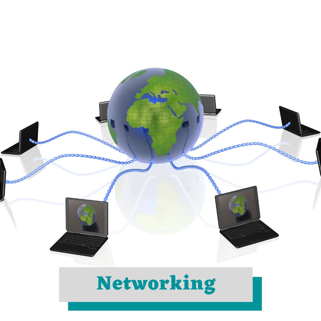 Networking, Server devices CCTV, Biometric Shop In Patna