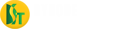 Best Software Developement Company Dynode Software